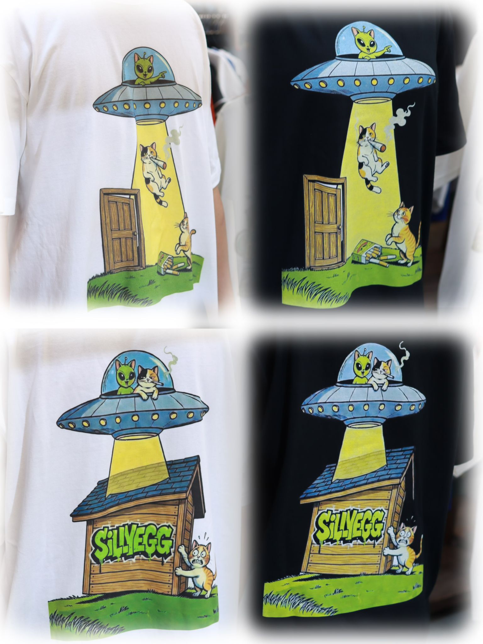 ALIEN ABDUCTION