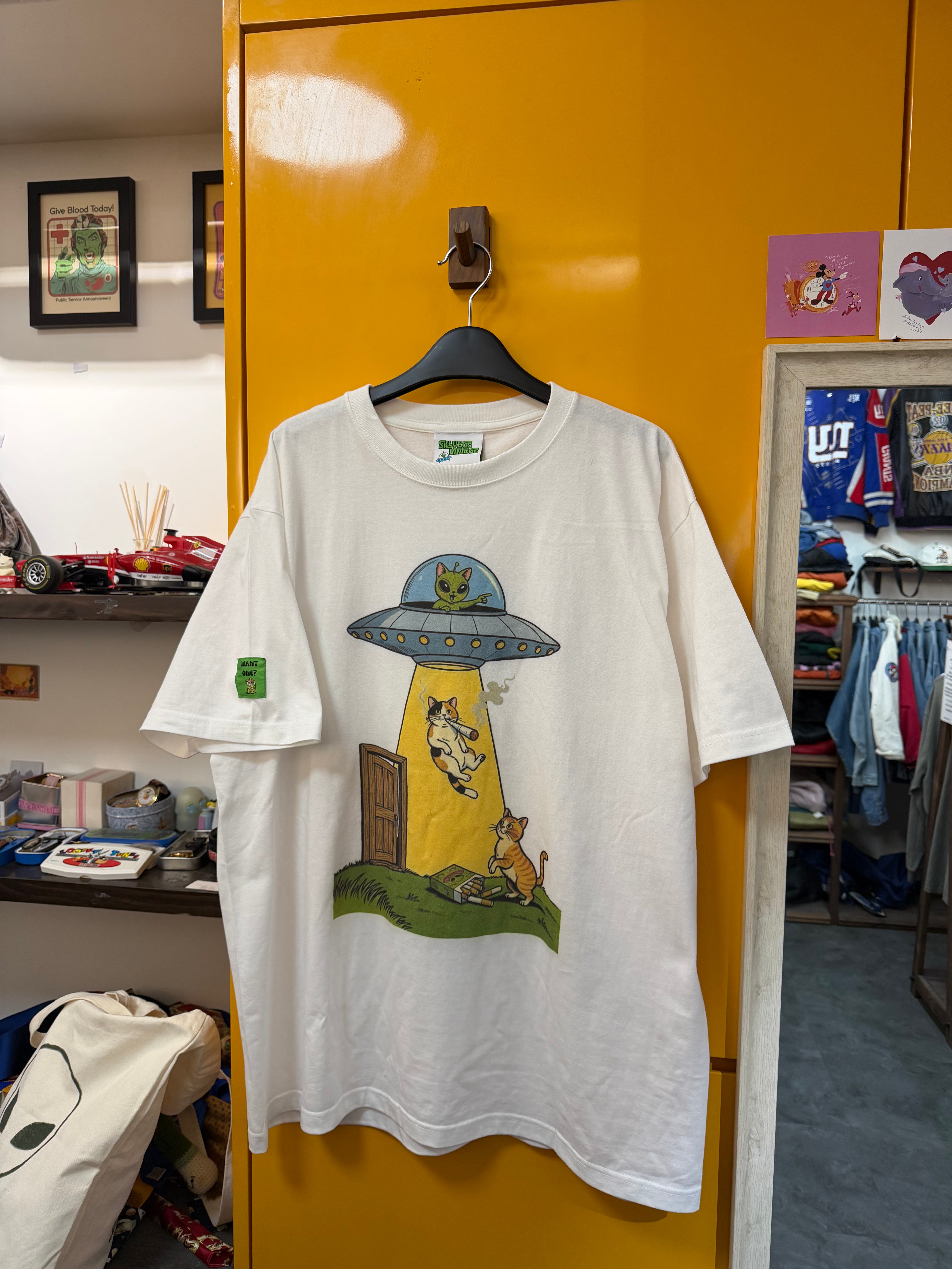 ALIEN ABDUCTION