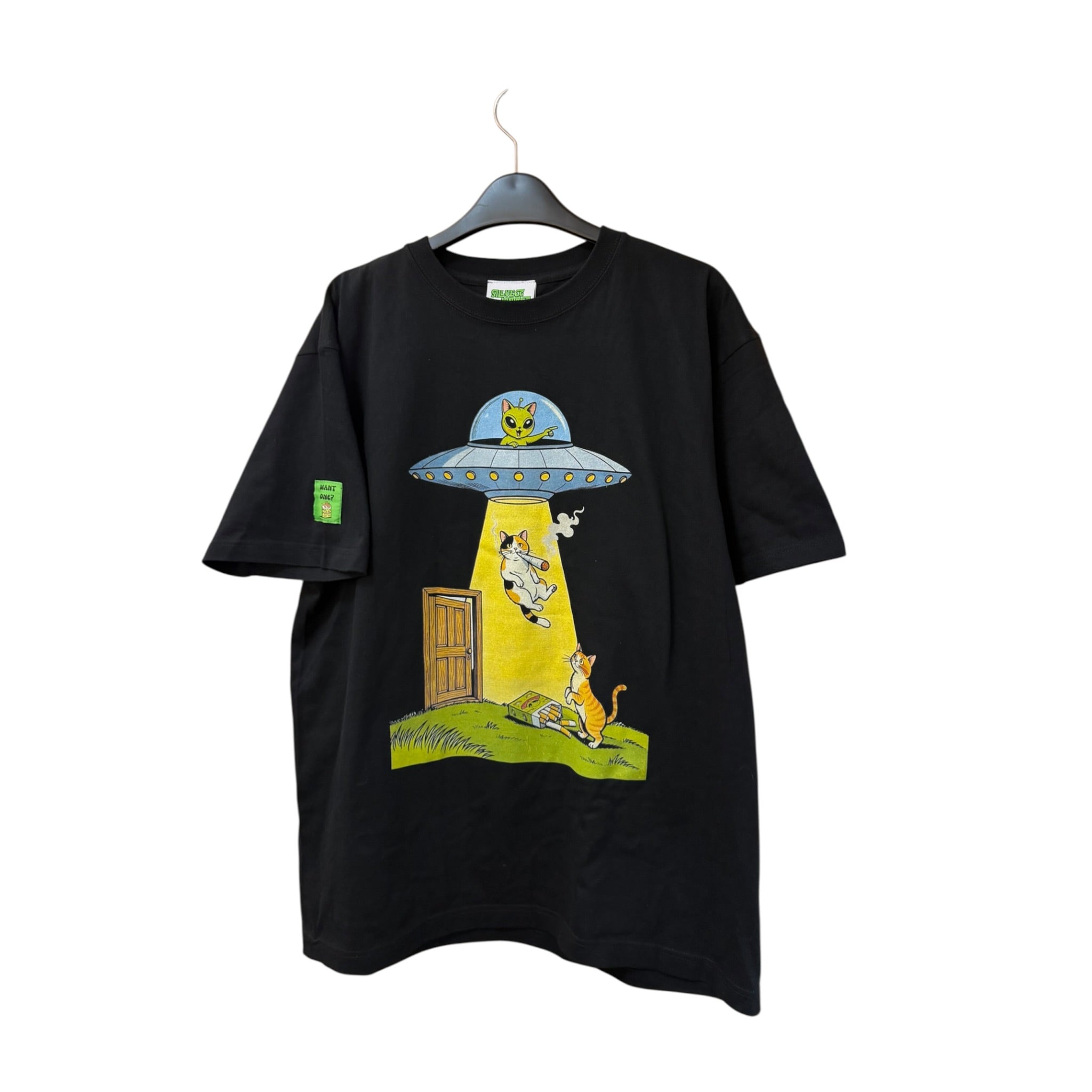 ALIEN ABDUCTION