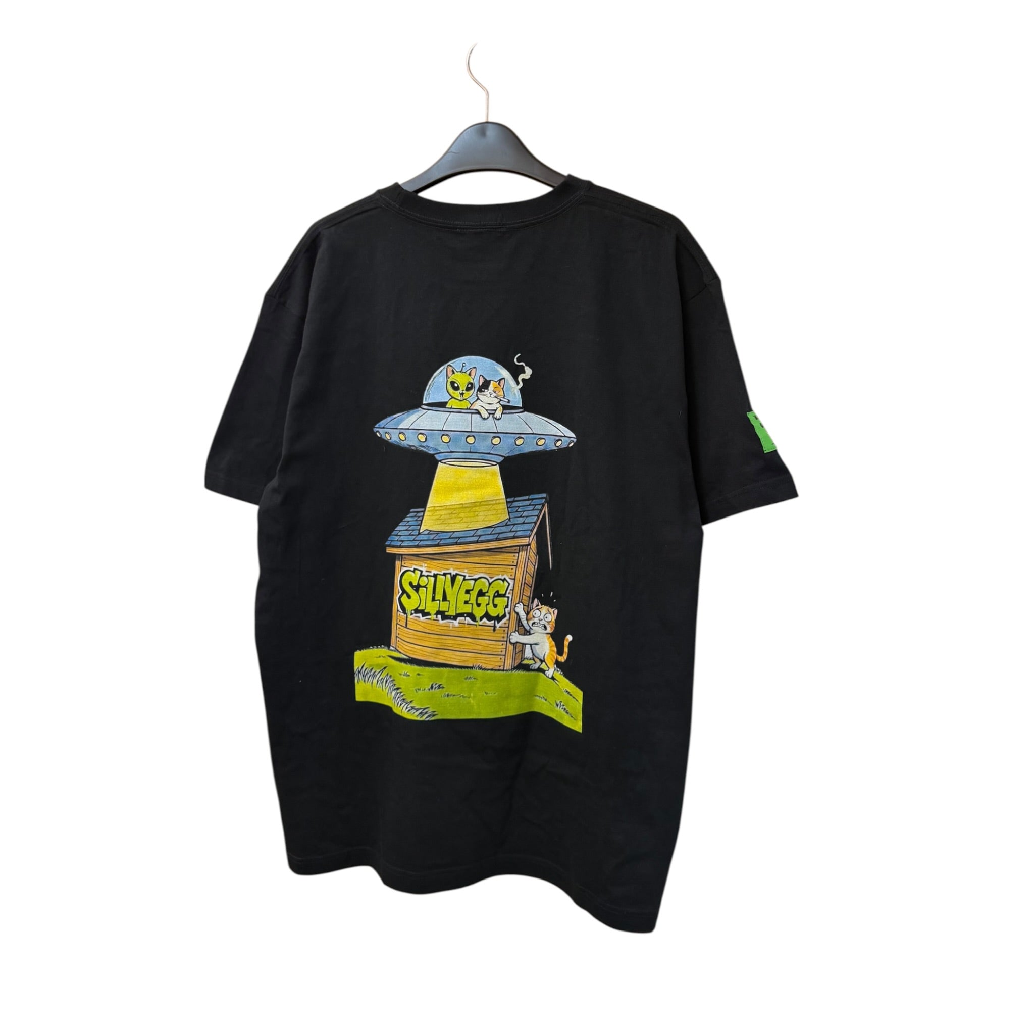 ALIEN ABDUCTION